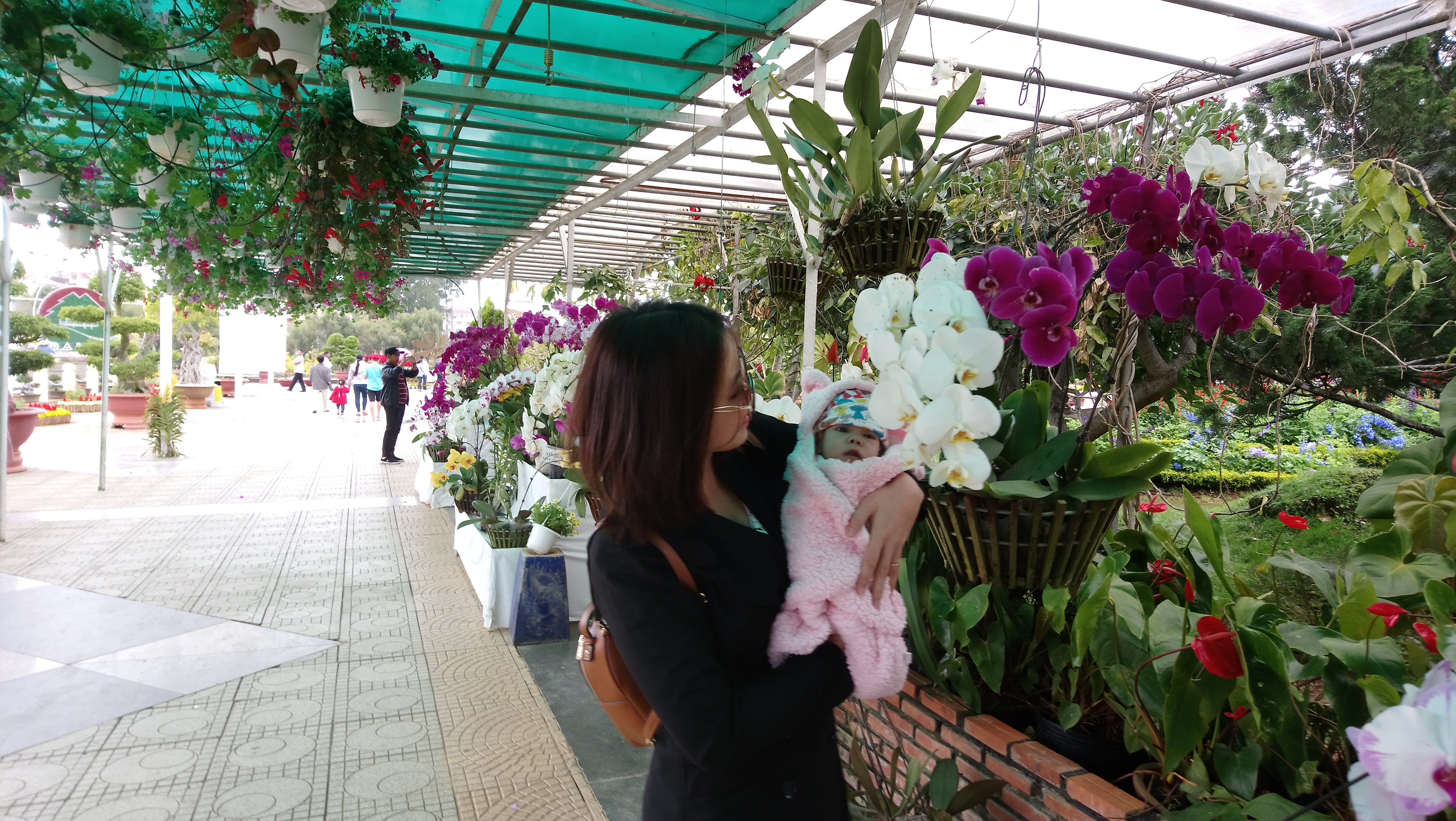 Nấm ngấm hoa lan